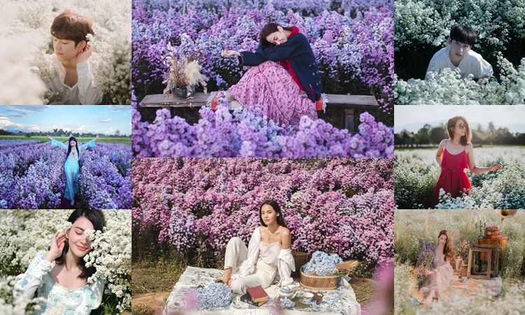 ฮอตทะลุโซเชียล! สวนดอกไม้ที่คนดังฮิตไปถ่ายรูป 'I love flower Farm'